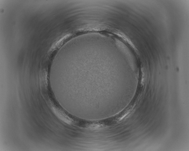 X0000080710542200612151136