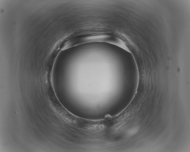 X0000080710543200612151136