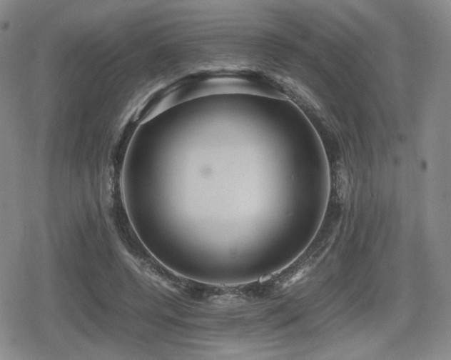 X0000080710544200612151136