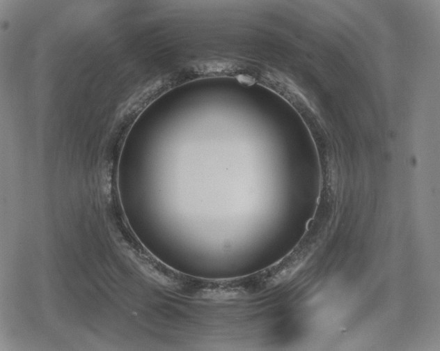 X0000080710545200612151136