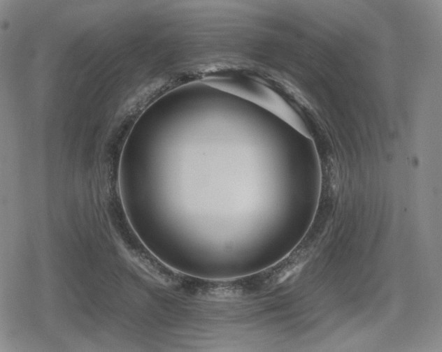 X0000080710546200612151136