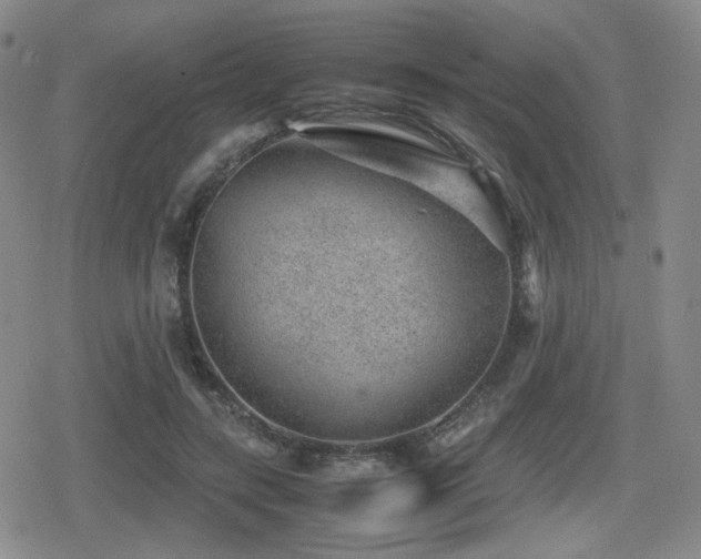 X0000080710547200612151136