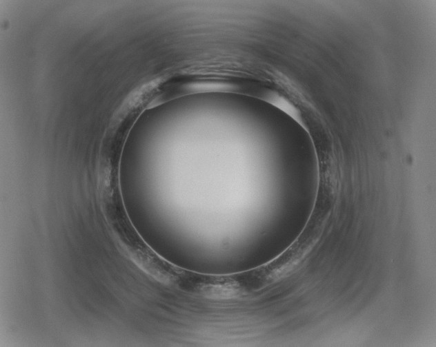 X0000080710548200612151136