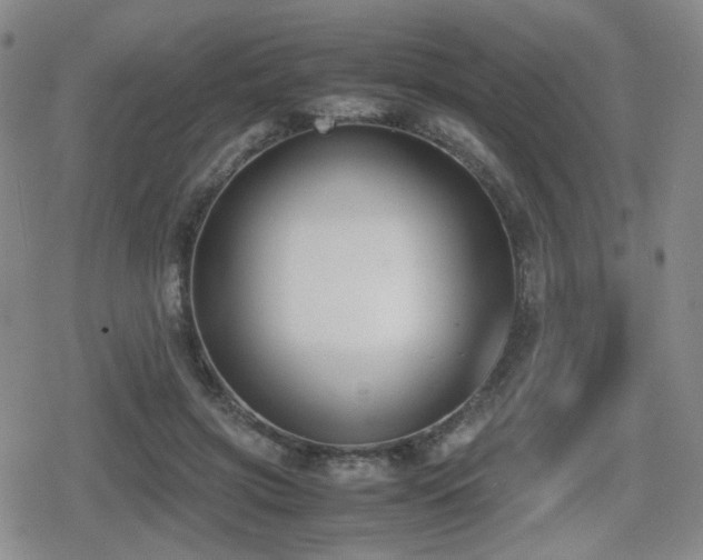 X0000080710549200612151136