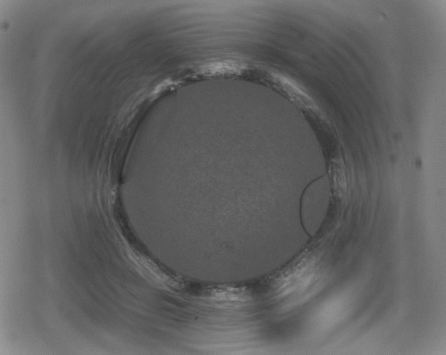 X0000080710550200612151136