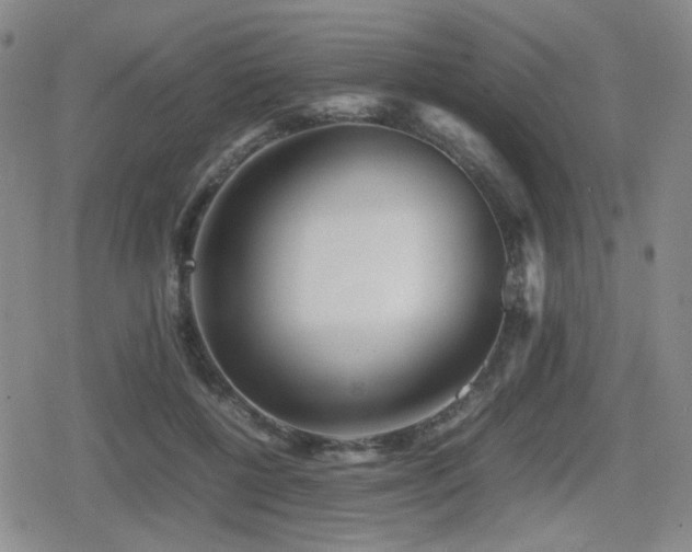 X0000080710552200612151136