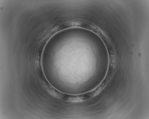 X0000080710553200612151136