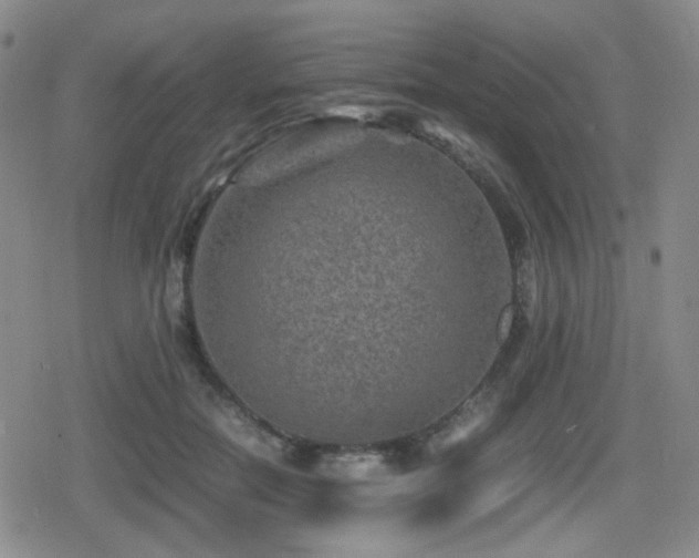 X0000080710554200612151136