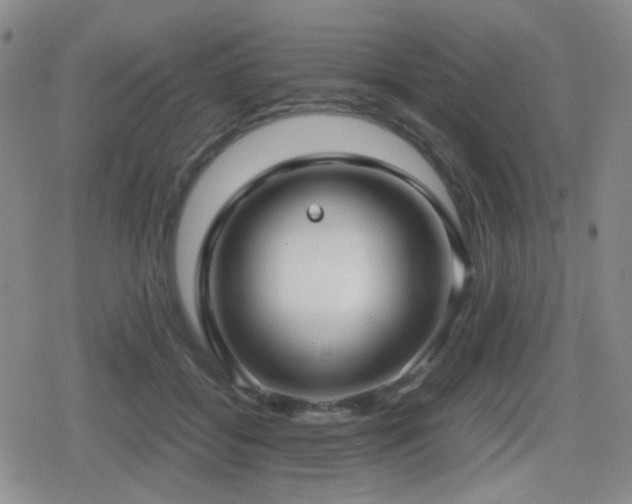 X0000080710556200612151136