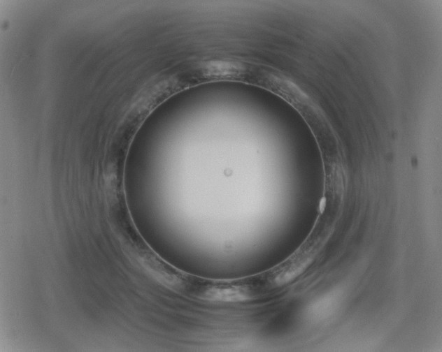 X0000080710557200612151136