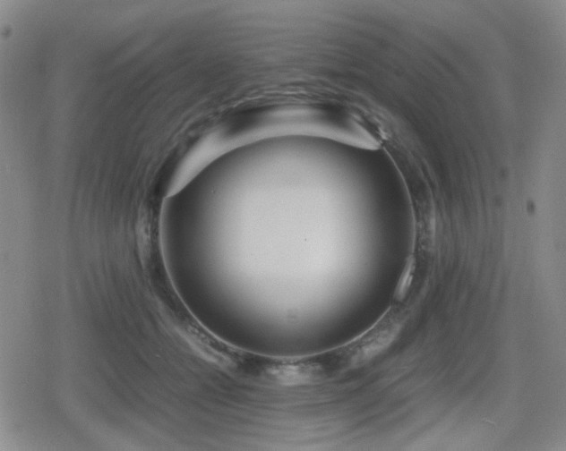 X0000080710558200612151136