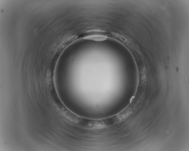 X0000080710559200612151136