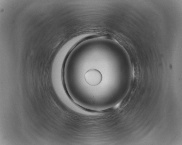 X0000080710560200612151136