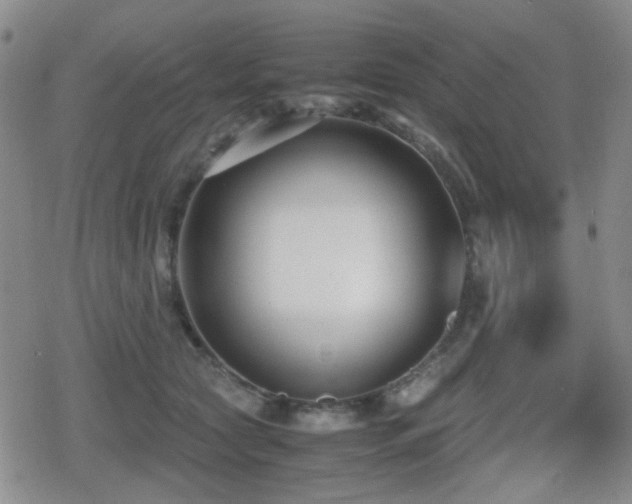 X0000080710561200612151136