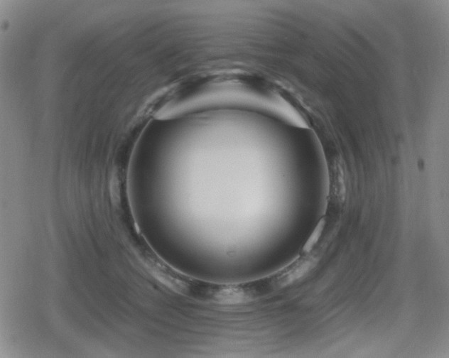 X0000080710562200612151137