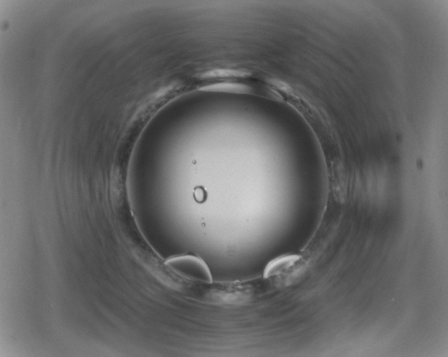 X0000080710563200612151137