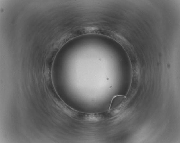 X0000080710565200612151137