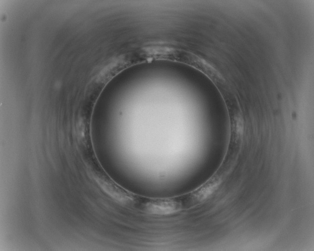 X0000080710567200612151137