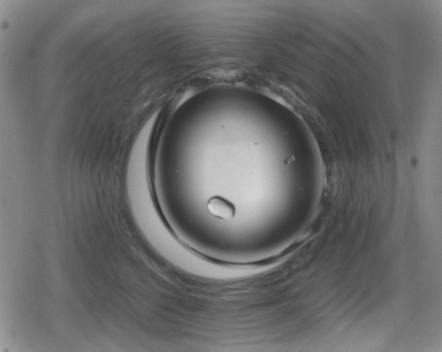 X0000080710568200612151137