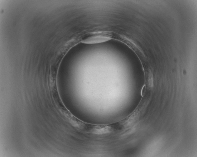 X0000080710569200612151137