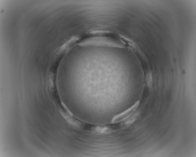 X0000080710570200612151137