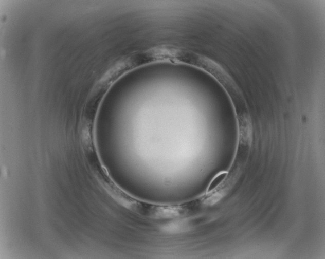 X0000080710573200612151137