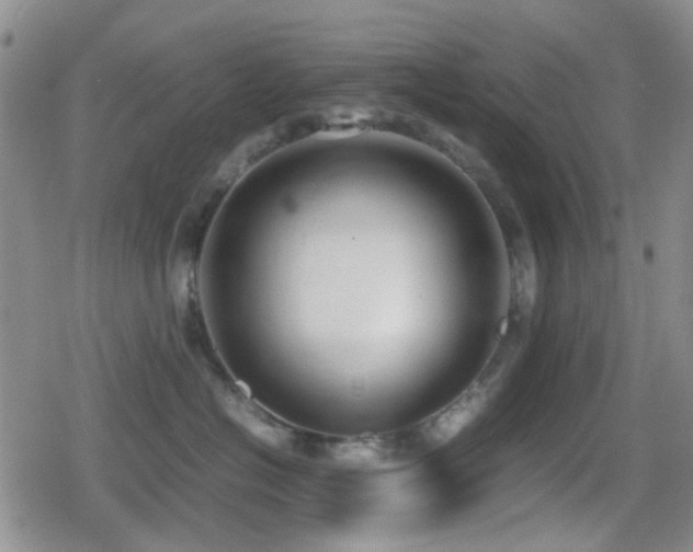 X0000080710574200612151137