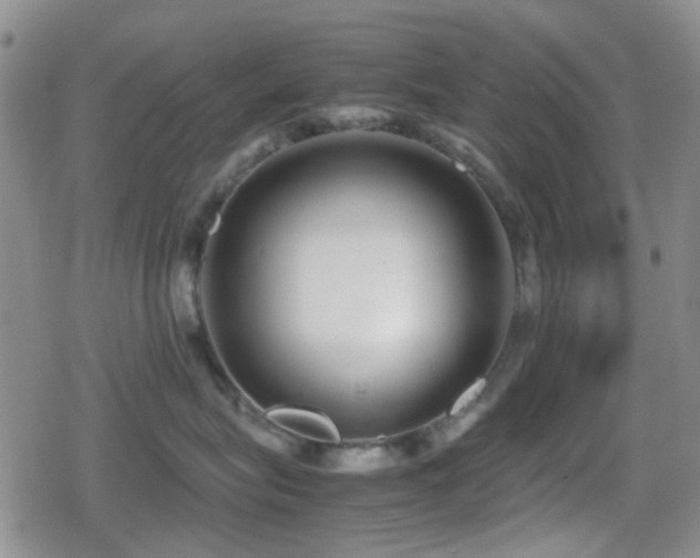 X0000080710575200612151137