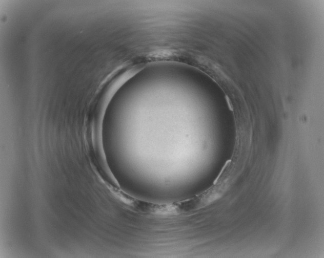 X0000080710576200612151137