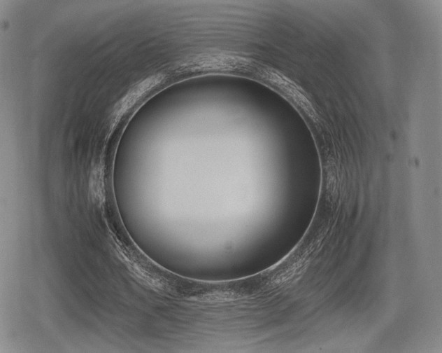 X0000080710578200612151136