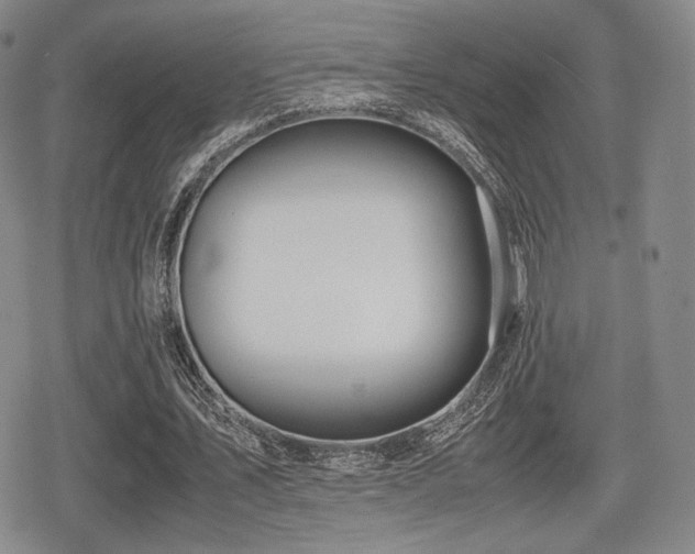 X0000080710579200612151136