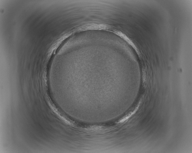 X0000080710581200612151136