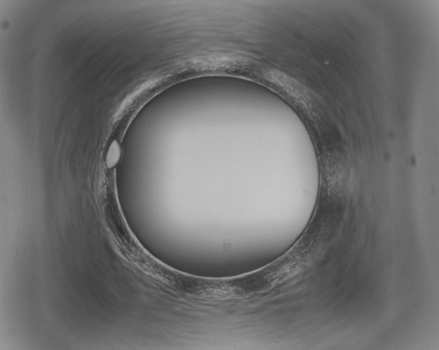 X0000080710583200612151136