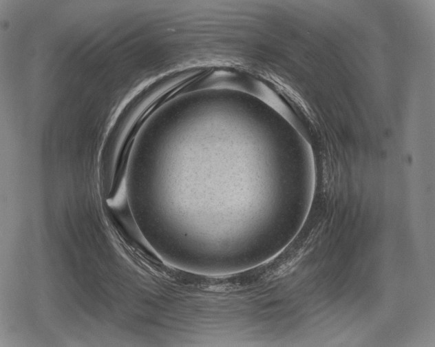 X0000080710584200612151136