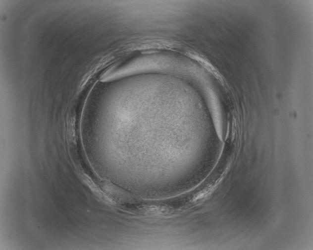 X0000080710585200612151136