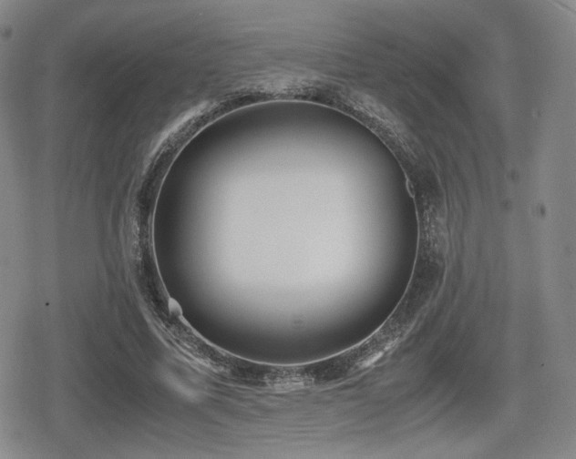 X0000080710587200612151136