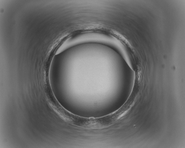 X0000080710589200612151136