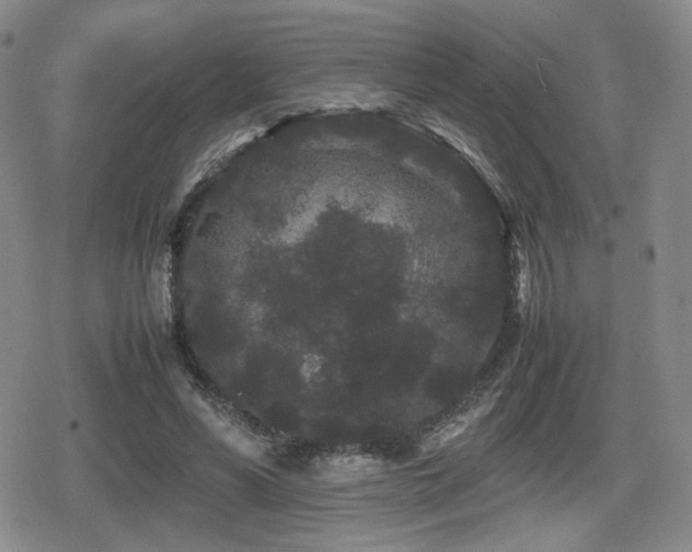 X0000080710590200612151136