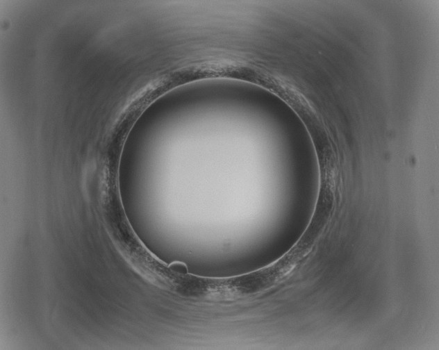 X0000080710591200612151136