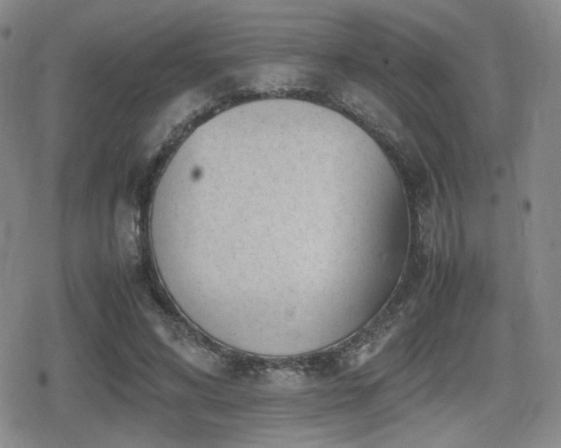 X0000080710592200612151136