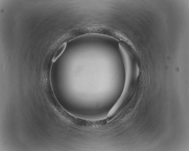 X0000080710593200612151136