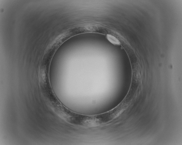 X0000080710595200612151136