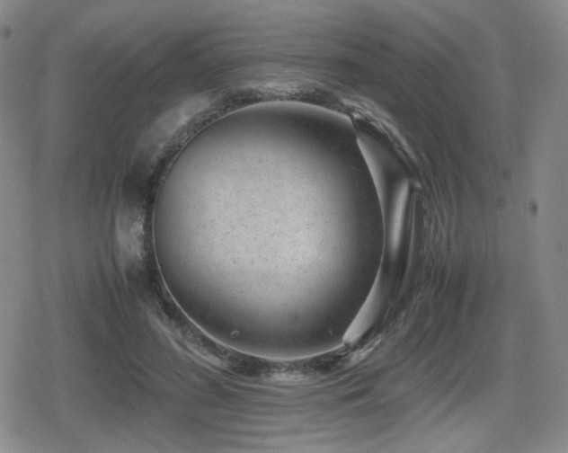 X0000080710596200612151136