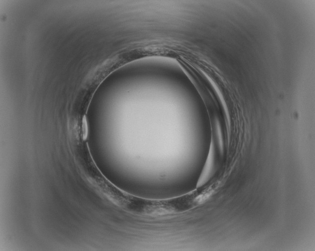 X0000080710597200612151136