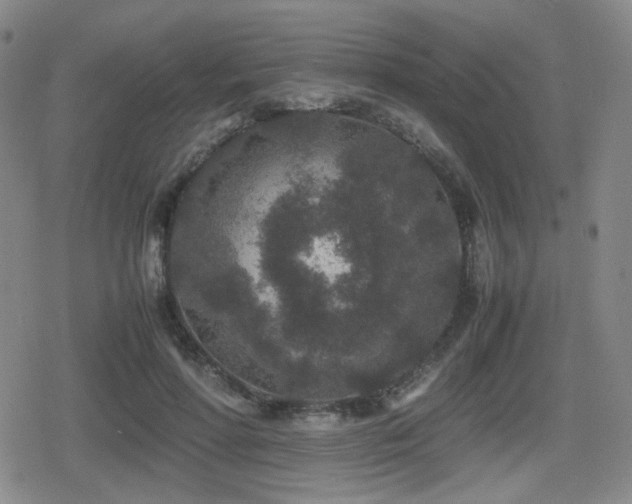 X0000080710598200612151136