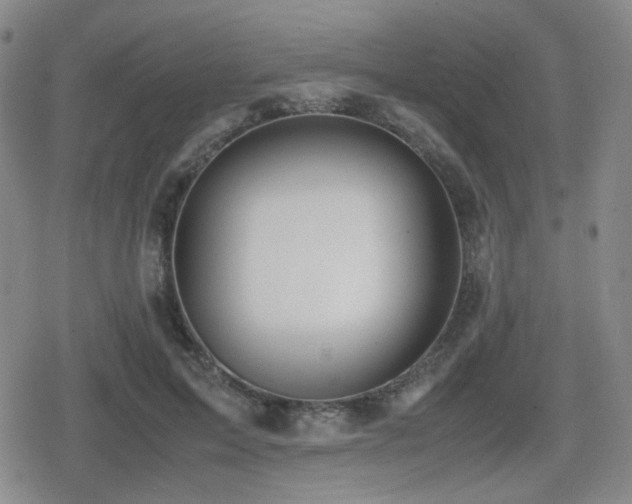 X0000080710599200612151136