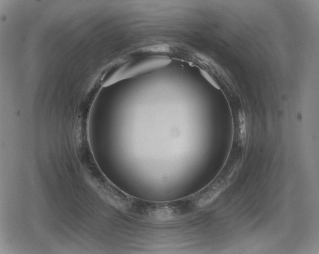 X0000080710600200612151136