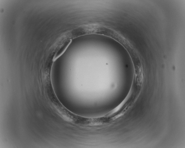 X0000080710601200612151136