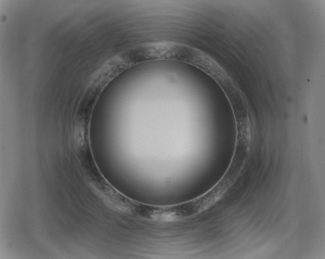 X0000080710602200612151136