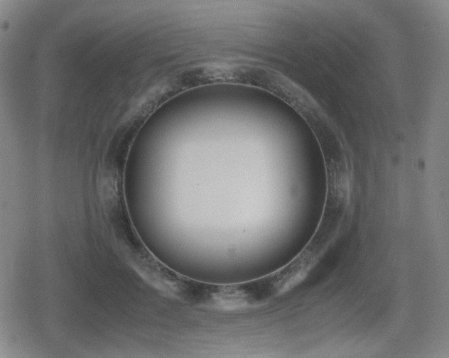 X0000080710603200612151136